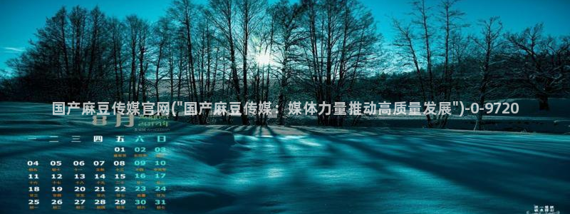 麻豆演员描述