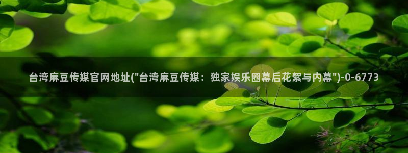 麻豆专题整理