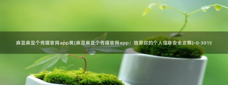 麻豆视频用户体验
