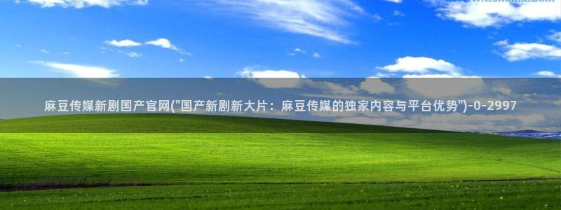 麻豆视频网站