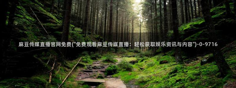 麻豆视频资源站