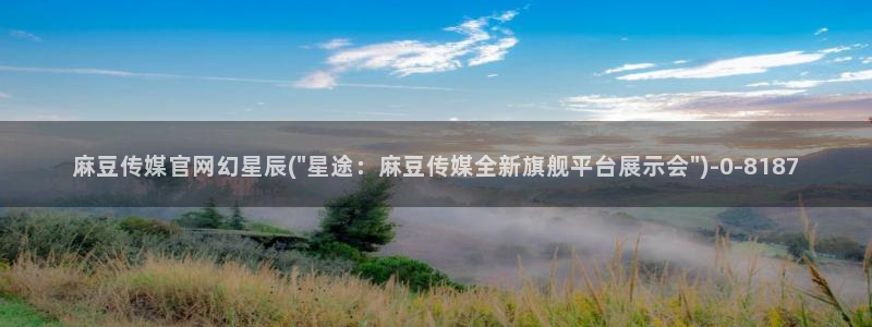 麻豆视频站群文案