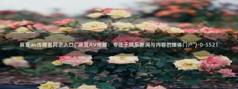 麻豆视频截图