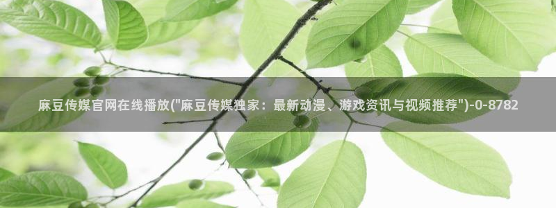 麻豆视频模板
