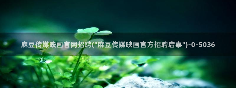 麻豆资料页