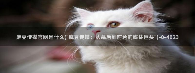 麻豆幕后花絮