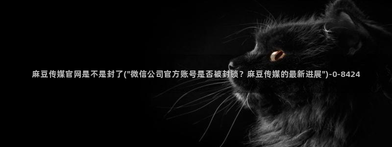 麻豆SEO关键词