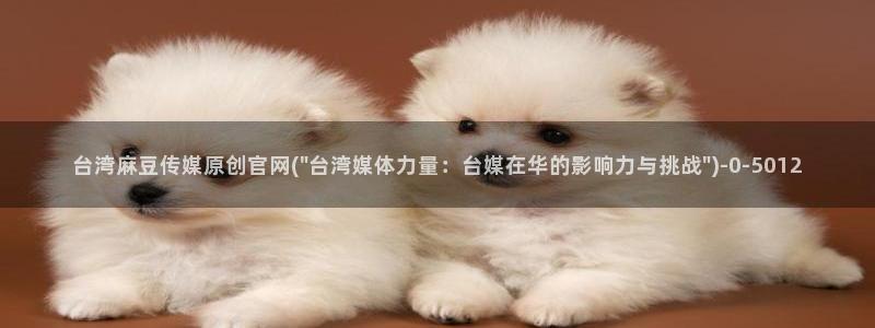 麻豆视频栏目规划