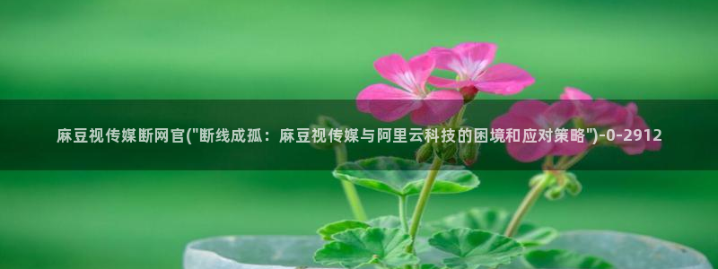 麻豆影视