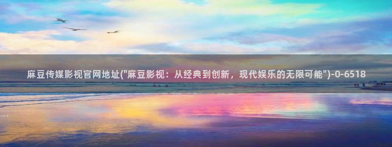 麻豆视频标签规划