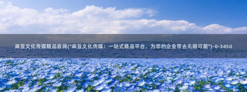 麻豆资讯描述