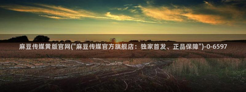 麻豆系列视频