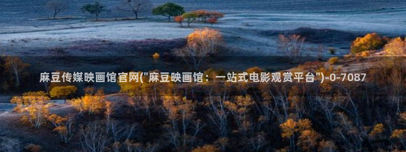 麻豆视频站