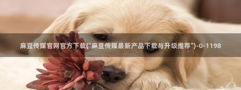 麻豆演员标题