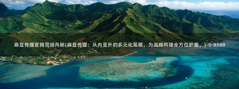 麻豆视频页面标题