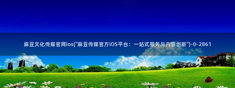 麻豆反转剧情