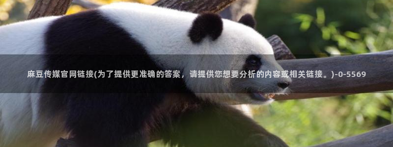 麻豆视频SEO词库