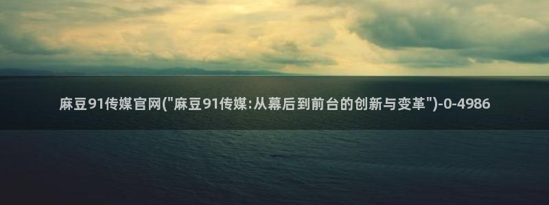 麻豆视频内容质量