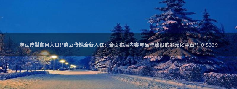 麻豆视频排行文案