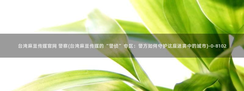 麻豆视频标题规则