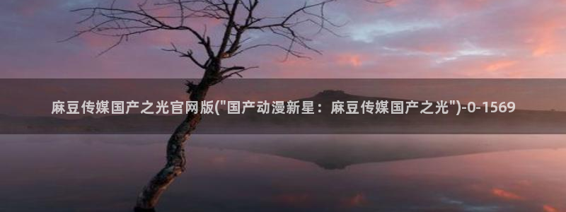 麻豆视频分类目录