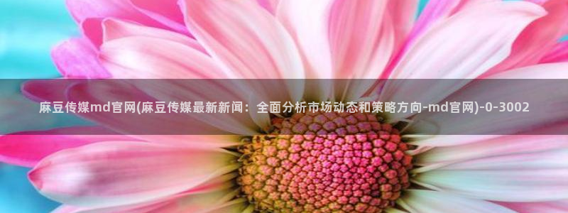 麻豆剧情短片