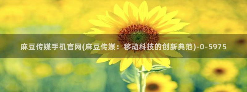 麻豆视频合集整理